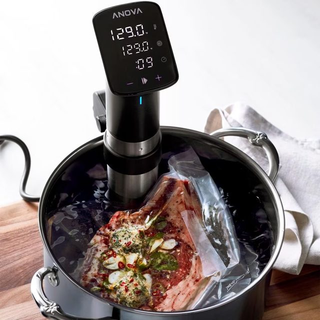 Anova Precision Sous Vide Cooker