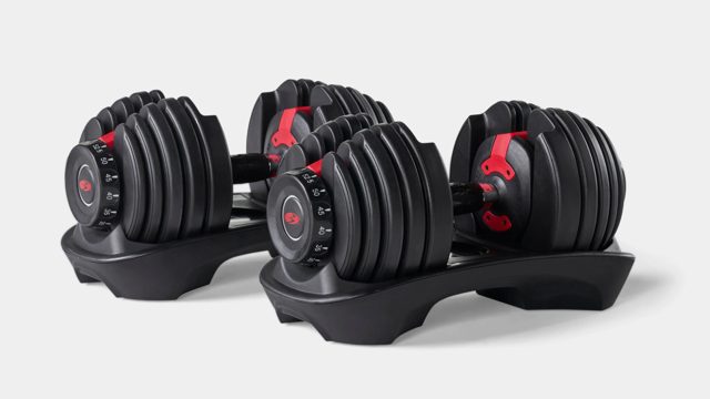 Bowflex SelectTech 552 Adjustable Dumbbells