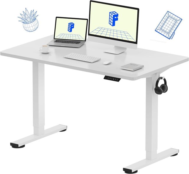 Flexispot EC1 Electric Standing Desk (48")