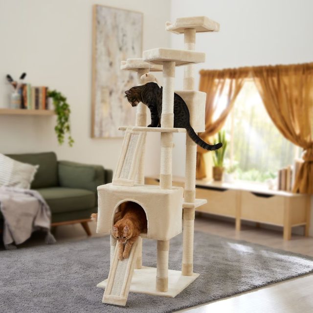 Frisco 72" Cat Tree & Condo