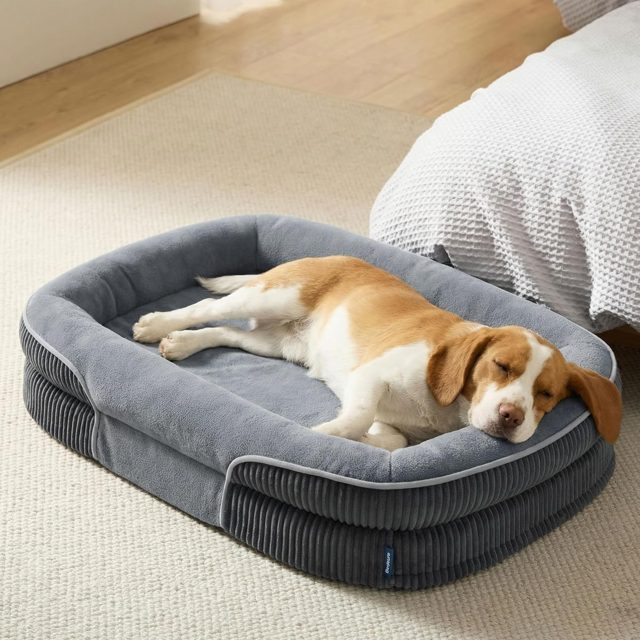 Frisco Orthopedic Bolster Dog Bed (Large)