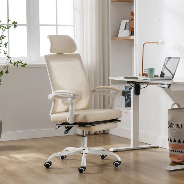 Homall Ergonomic Office Chair