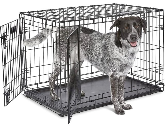 MidWest iCrate Dog Crate 36"