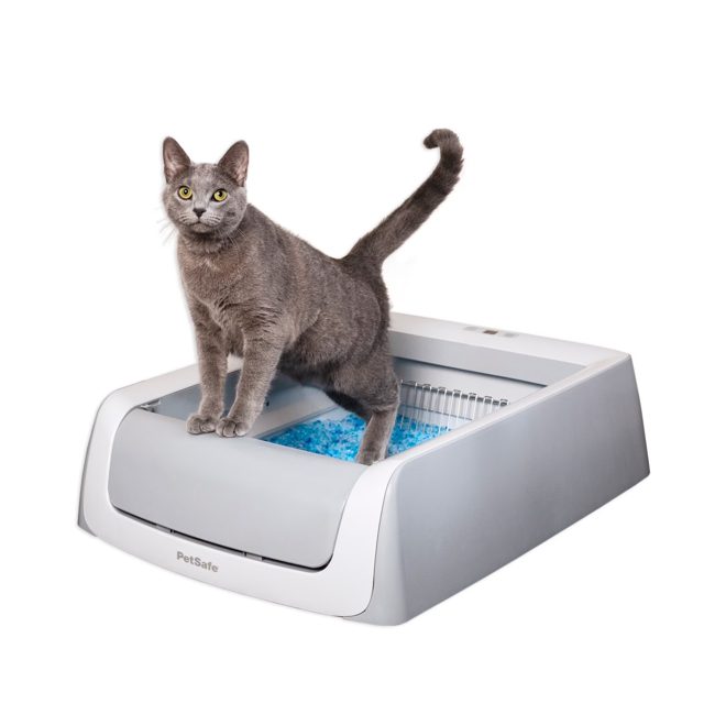 PetSafe ScoopFree Self-Cleaning Litter Box